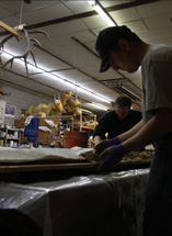 Taxidermy Unlimited Staff