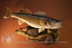Fish thumb