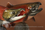 Fish thumb