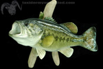 Fish thumb
