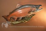 Fish thumb