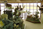 Trophy Rooms thumb