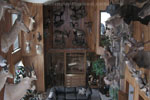 Trophy Rooms thumb