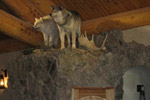 Trophy Rooms thumb
