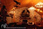Trophy Rooms thumb