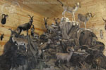 Trophy Rooms thumb