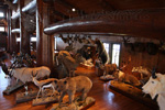 Trophy Rooms thumb