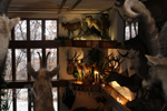 Trophy Rooms thumb