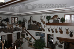 Trophy Rooms thumb