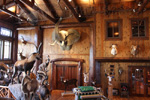 Trophy Rooms thumb