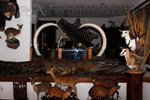 Trophy Rooms thumb