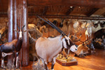 Trophy Rooms thumb