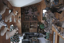 Trophy Room Design